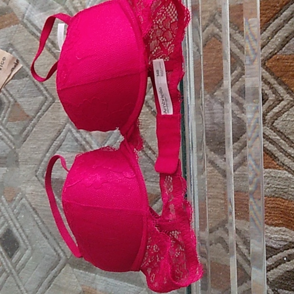 Ambrielle pushup bra 34b